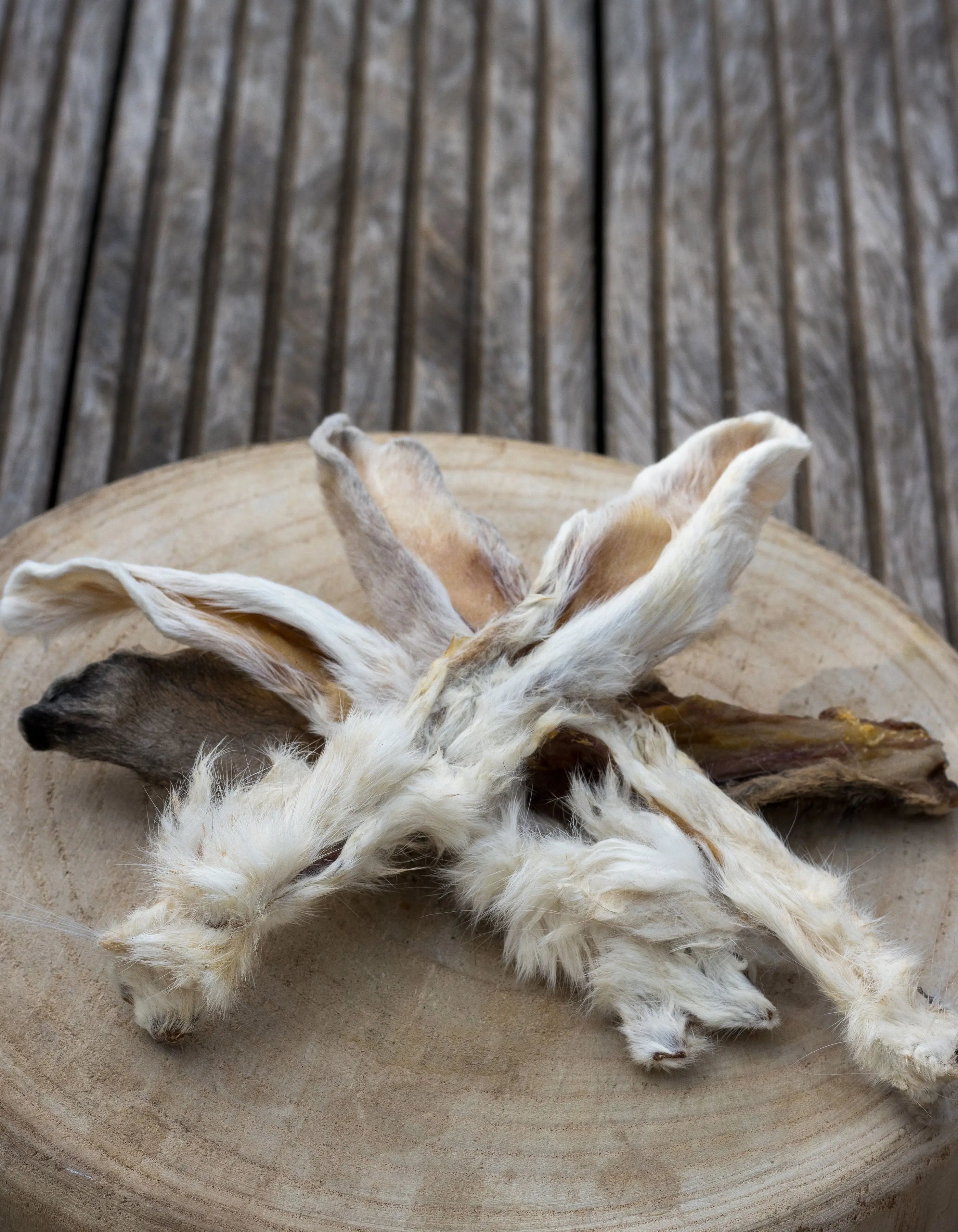 🐰 Oreilles de Lapin avec fourrure La Gamelle d'Alpha
