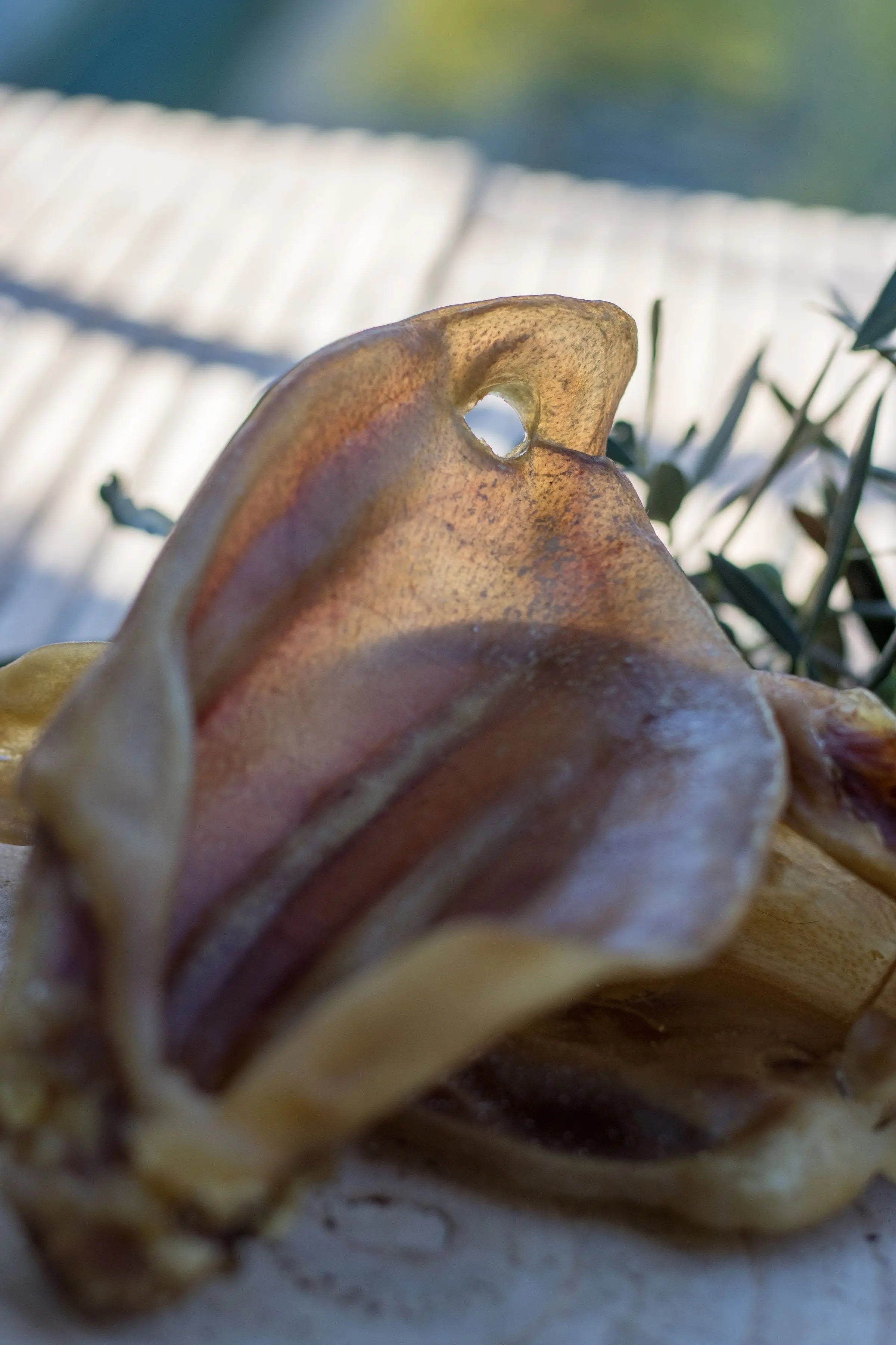 Oreilles de Cochon avec Pavillon La Gamelle d'Alpha