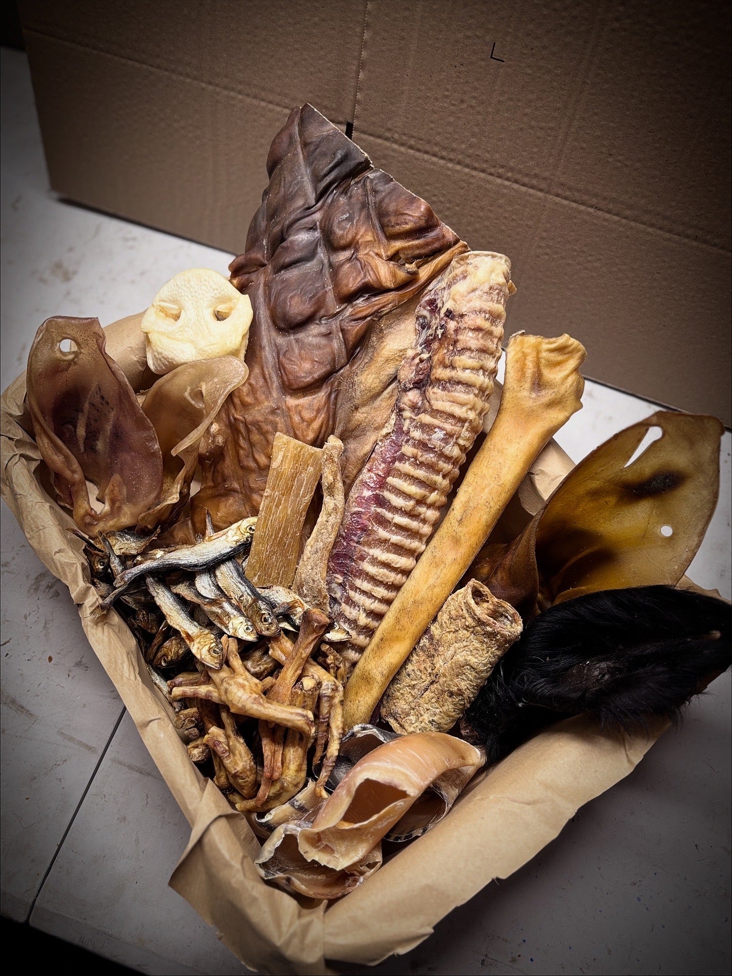 BOX DU MOIS La Gamelle d'Alpha