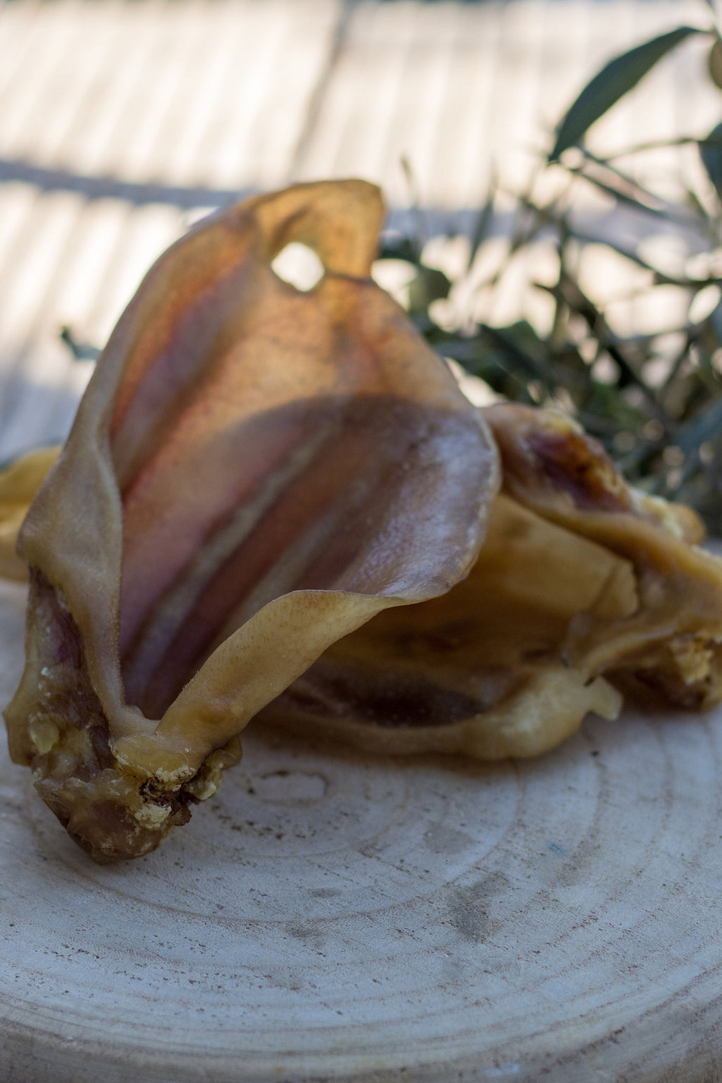 Oreilles de Cochon avec Pavillon La Gamelle d'Alpha