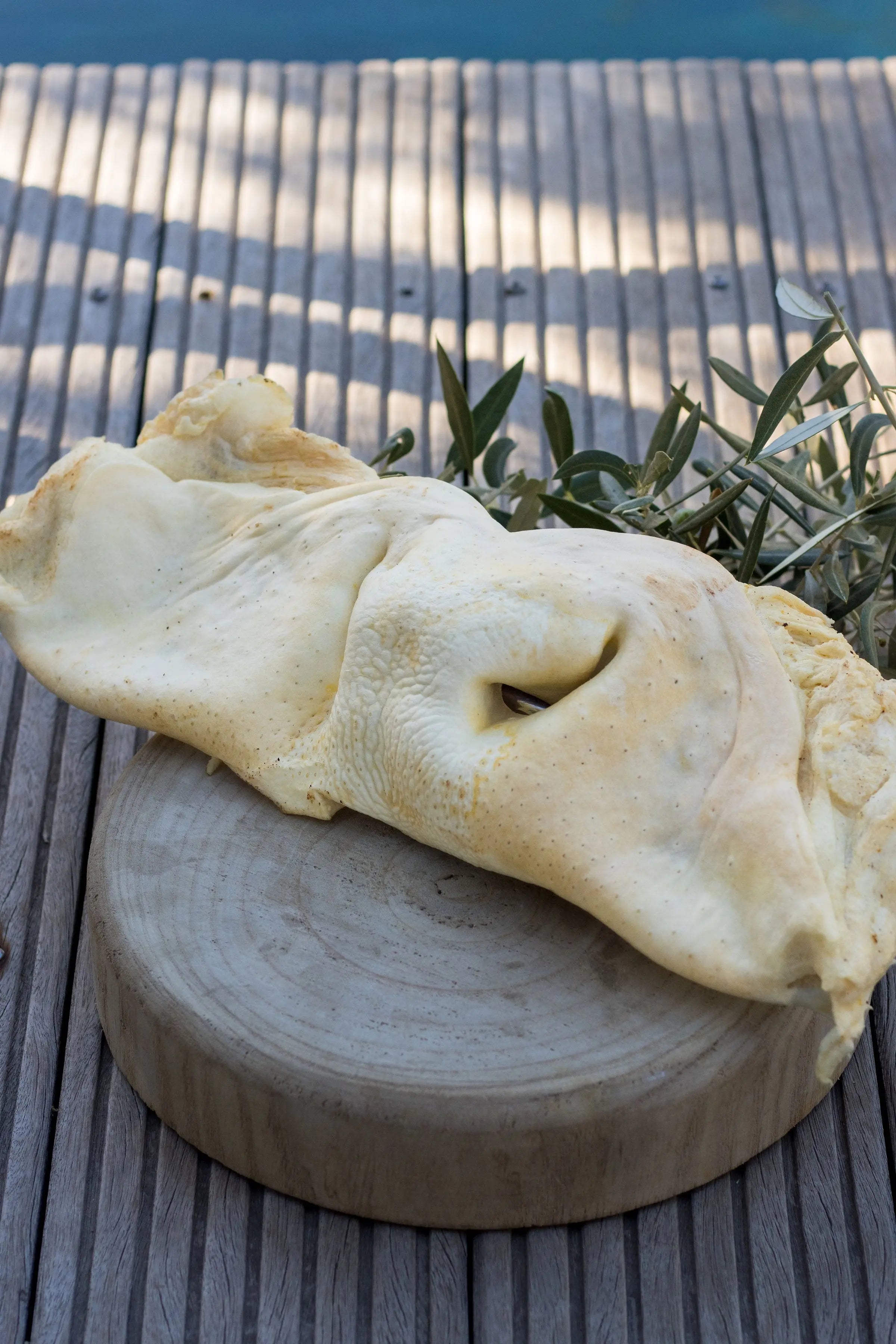🐮 Museau de Bœuf Entier Soufflé La Gamelle d'Alpha