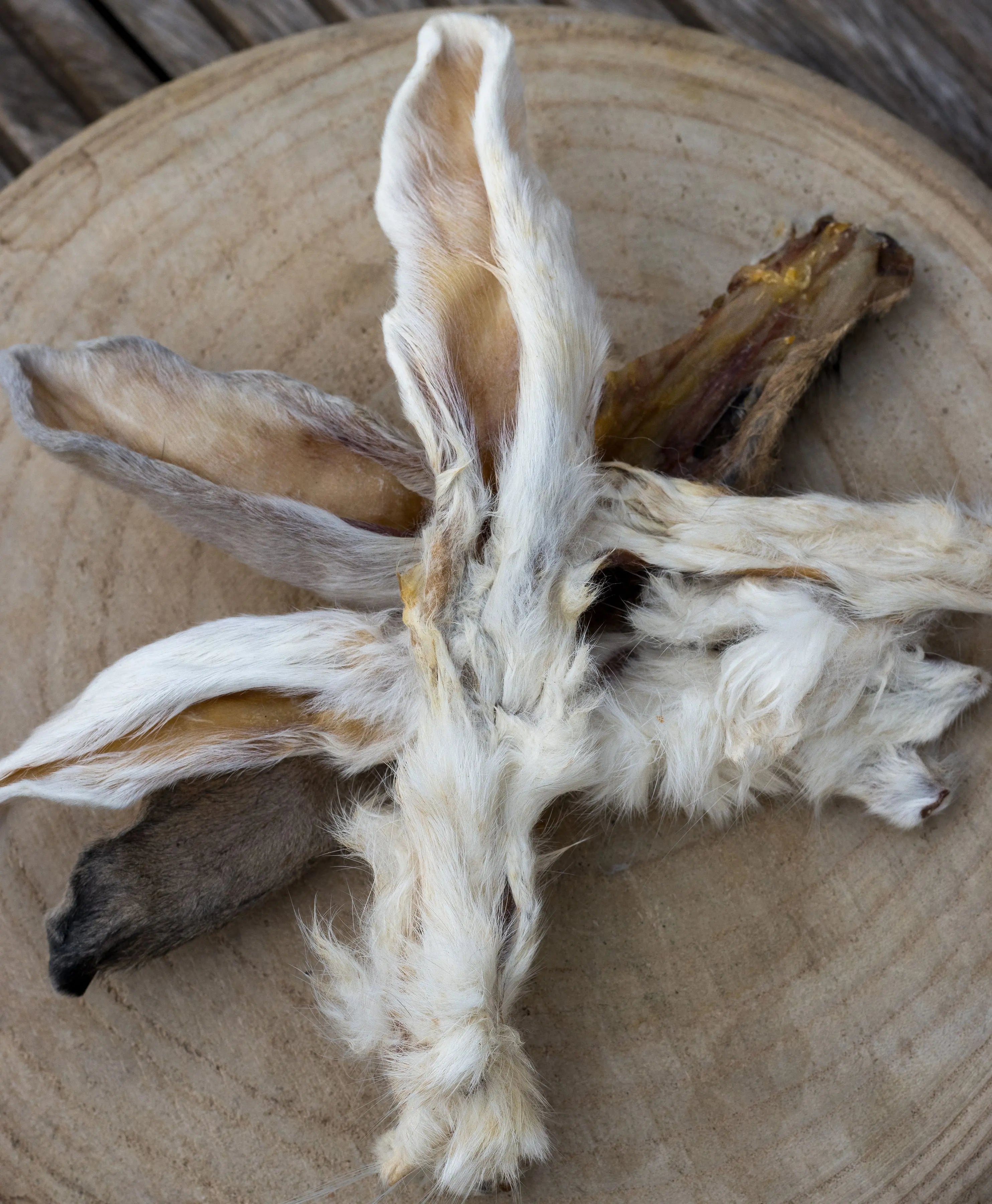 🐰 Oreilles de Lapin avec fourrure La Gamelle d'Alpha
