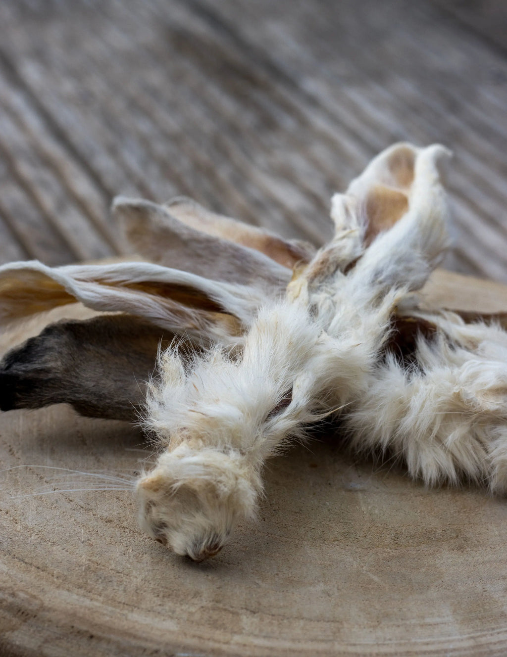 🐰 Oreilles de Lapin avec fourrure La Gamelle d'Alpha
