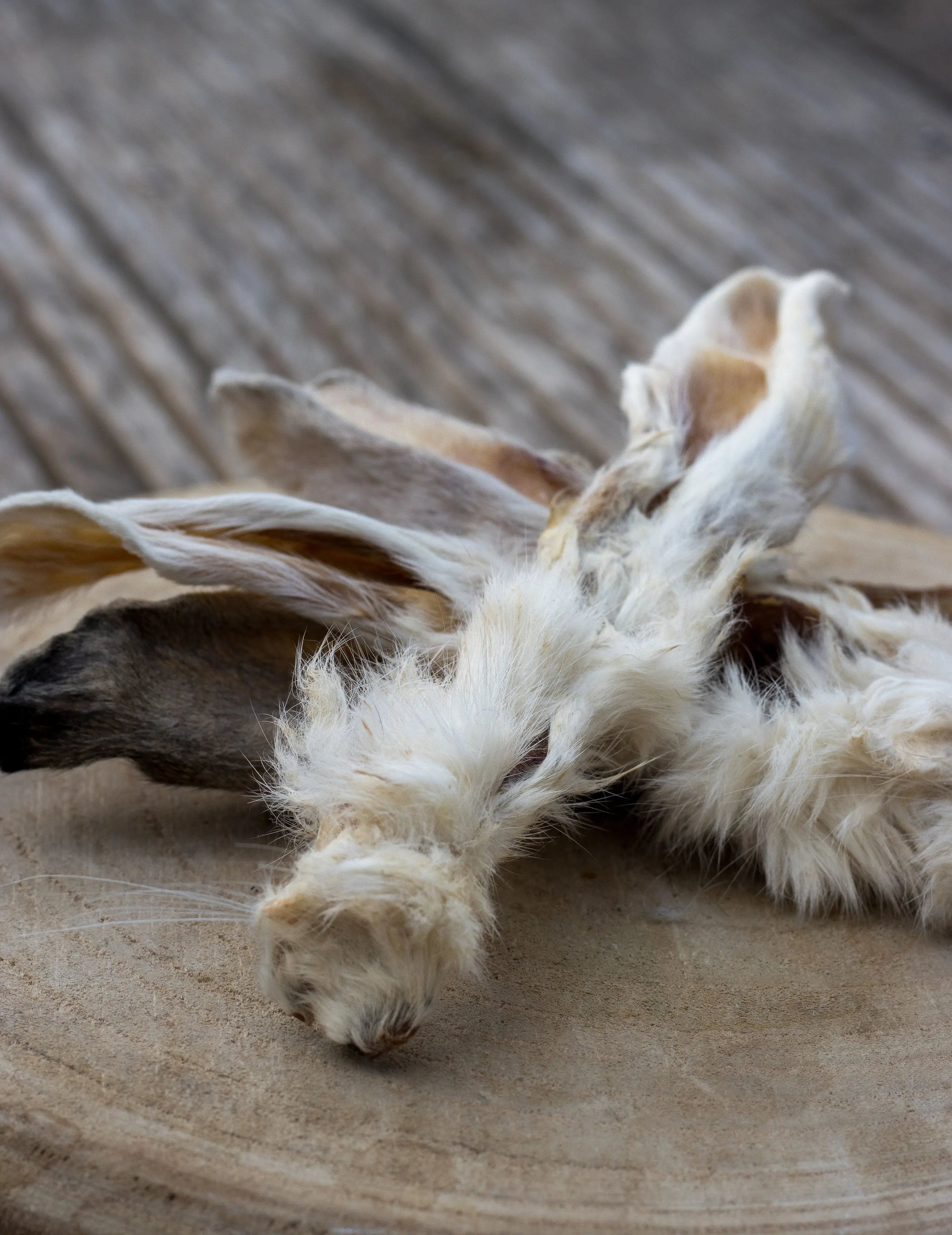 🐰 Oreilles de Lapin avec fourrure La Gamelle d'Alpha
