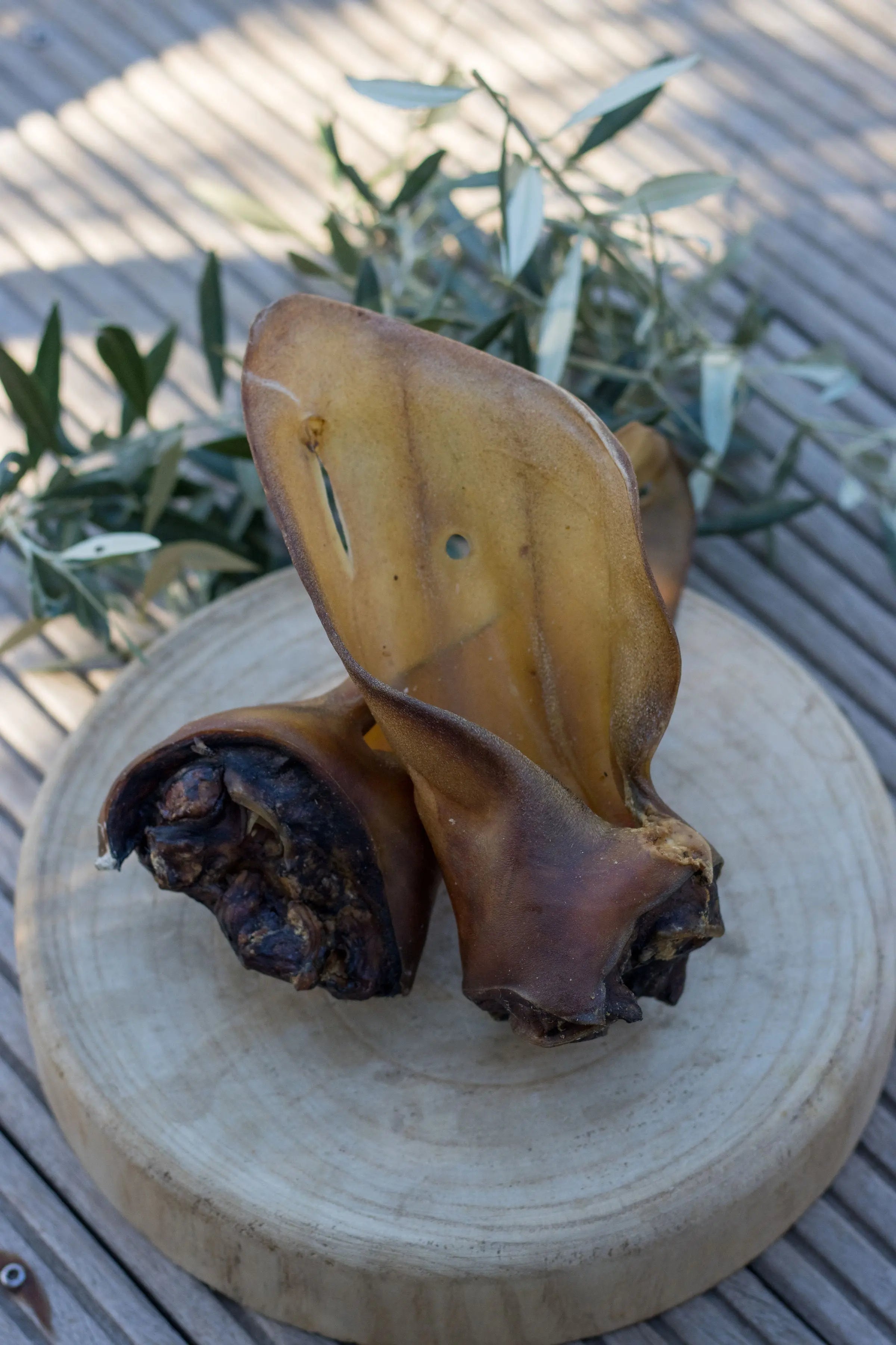 🐂 Oreilles de Bœuf avec Pavillon La Gamelle d'Alpha