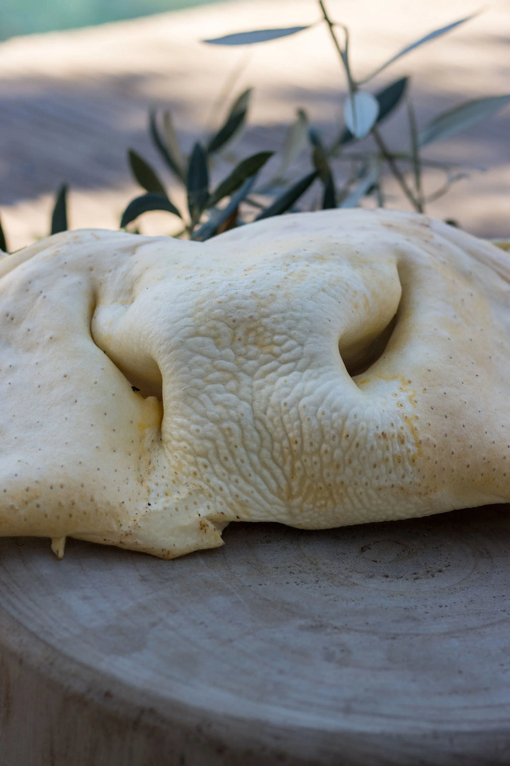 🐮 Museau de Bœuf Entier Soufflé La Gamelle d'Alpha