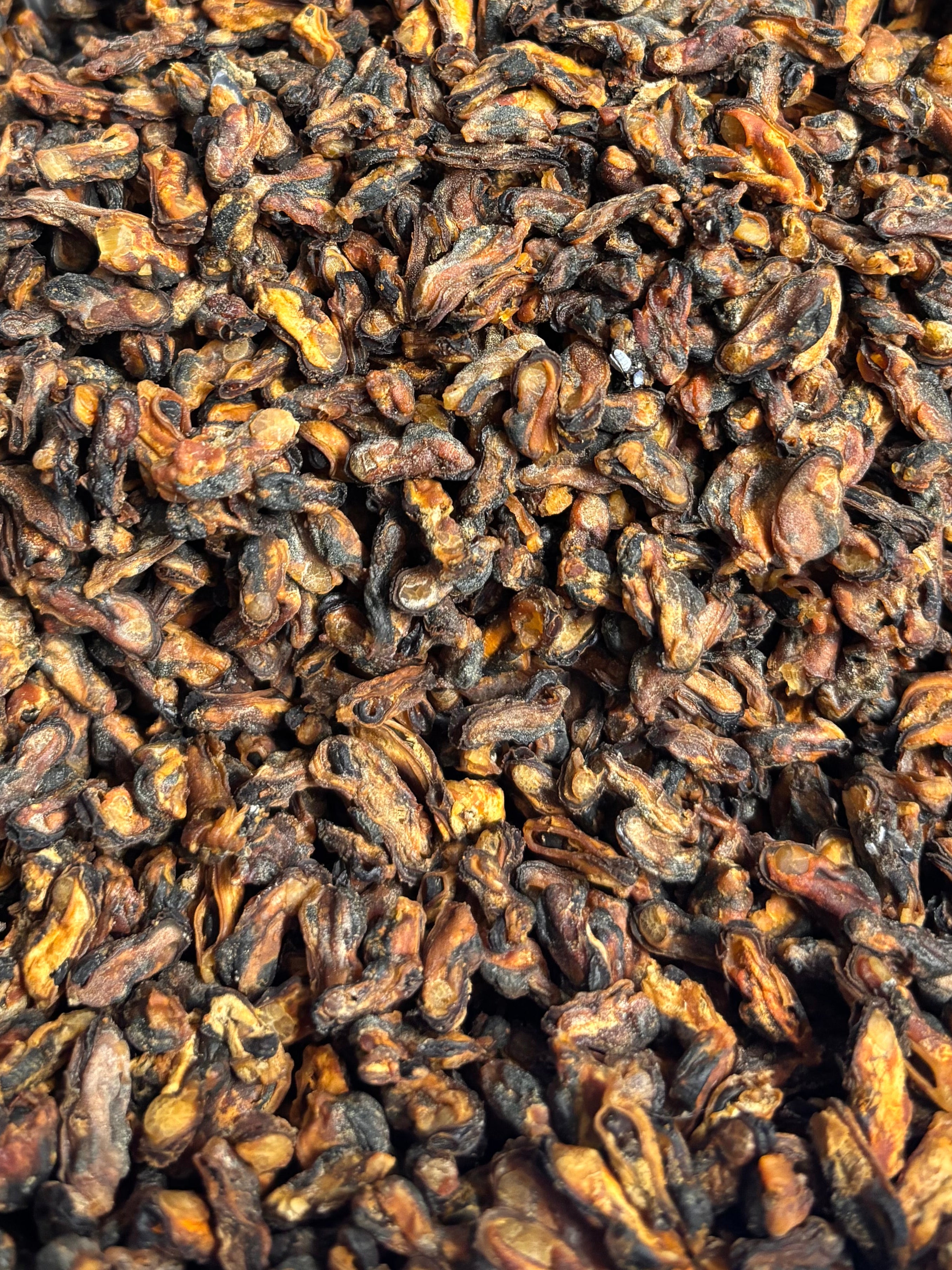 Moule séchée La Gamelle d'Alpha