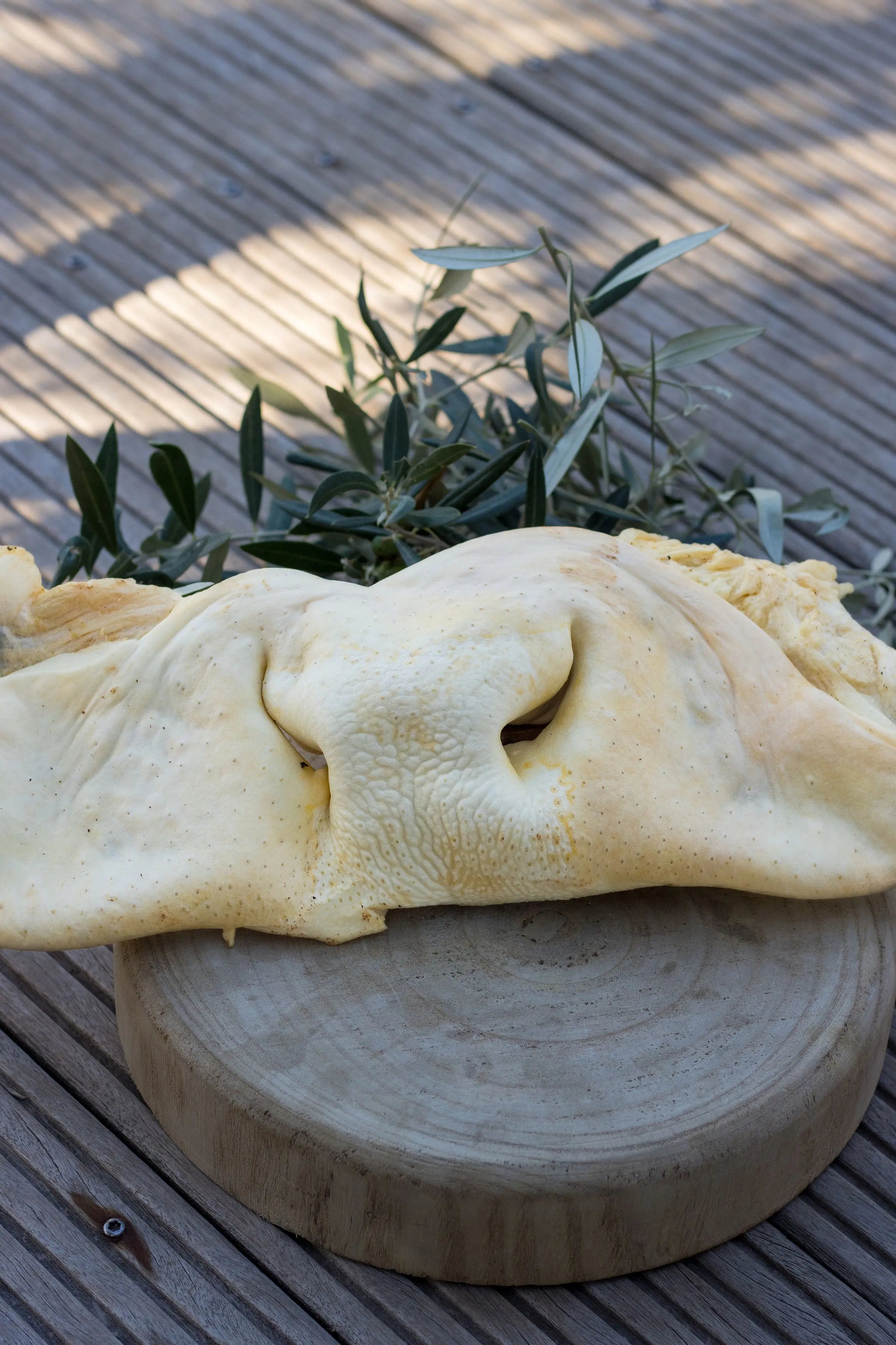 🐮 Museau de Bœuf Entier Soufflé La Gamelle d'Alpha