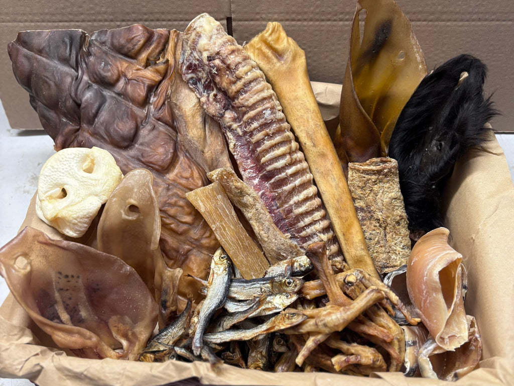 BOX DU MOIS La Gamelle d'Alpha