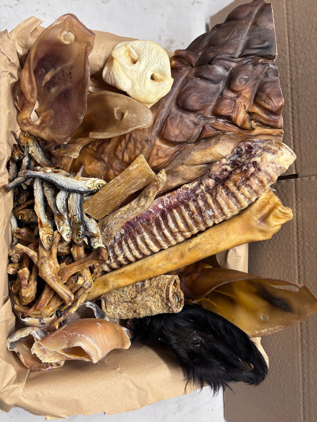 BOX DU MOIS La Gamelle d'Alpha