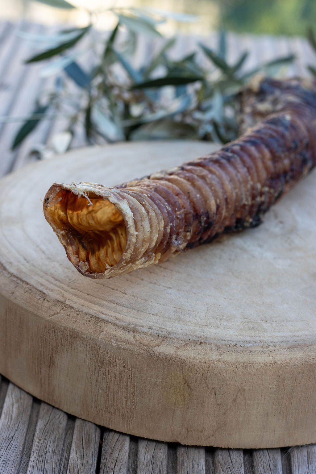 Trachée de Bœuf 30 cm La Gamelle d'Alpha