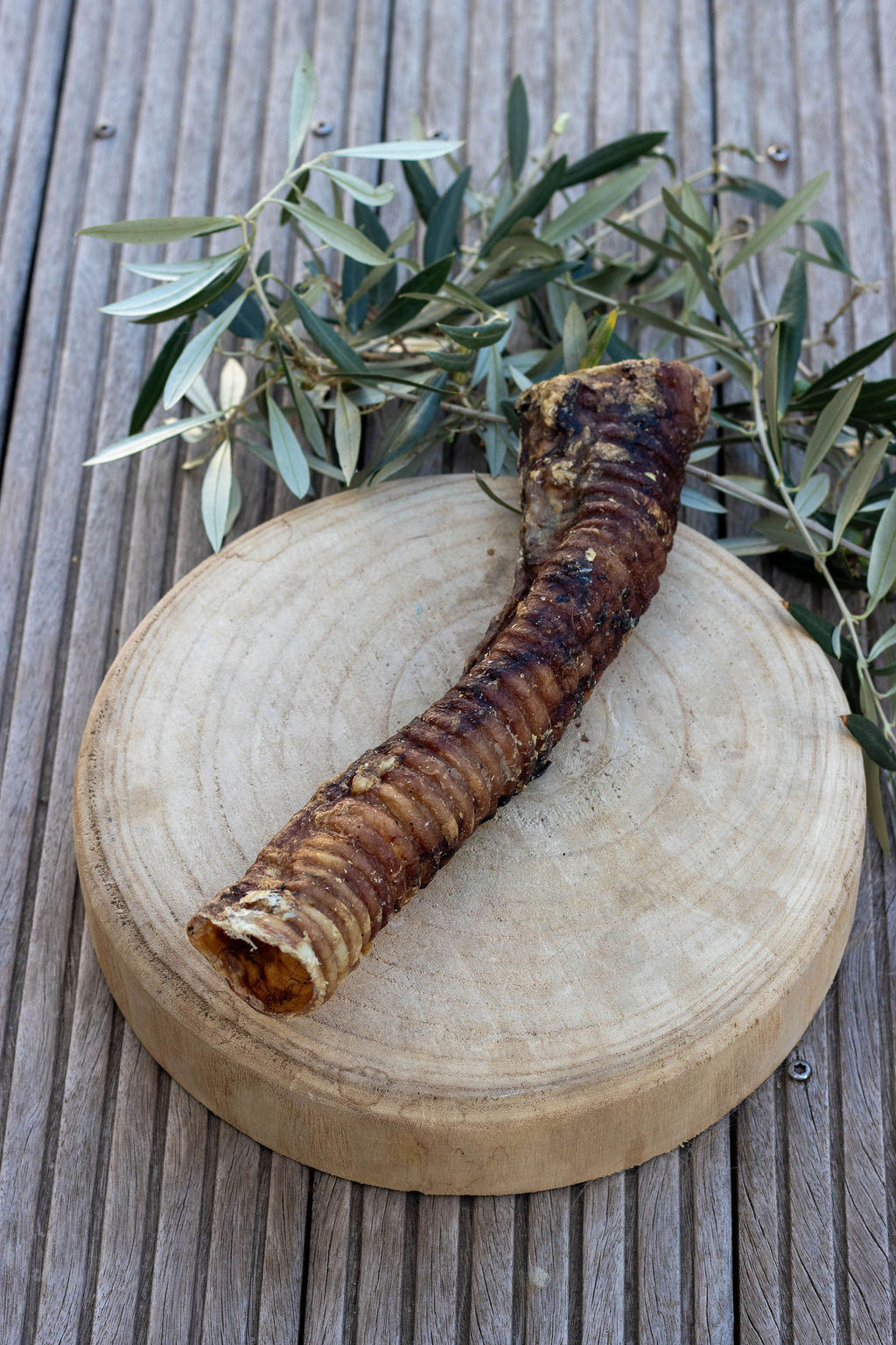 Trachée de Bœuf 30 cm La Gamelle d'Alpha