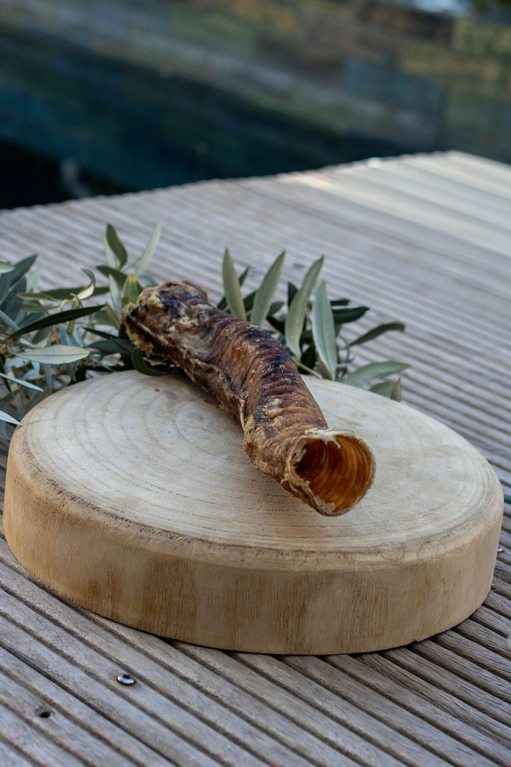 Trachée de Bœuf 30 cm La Gamelle d'Alpha