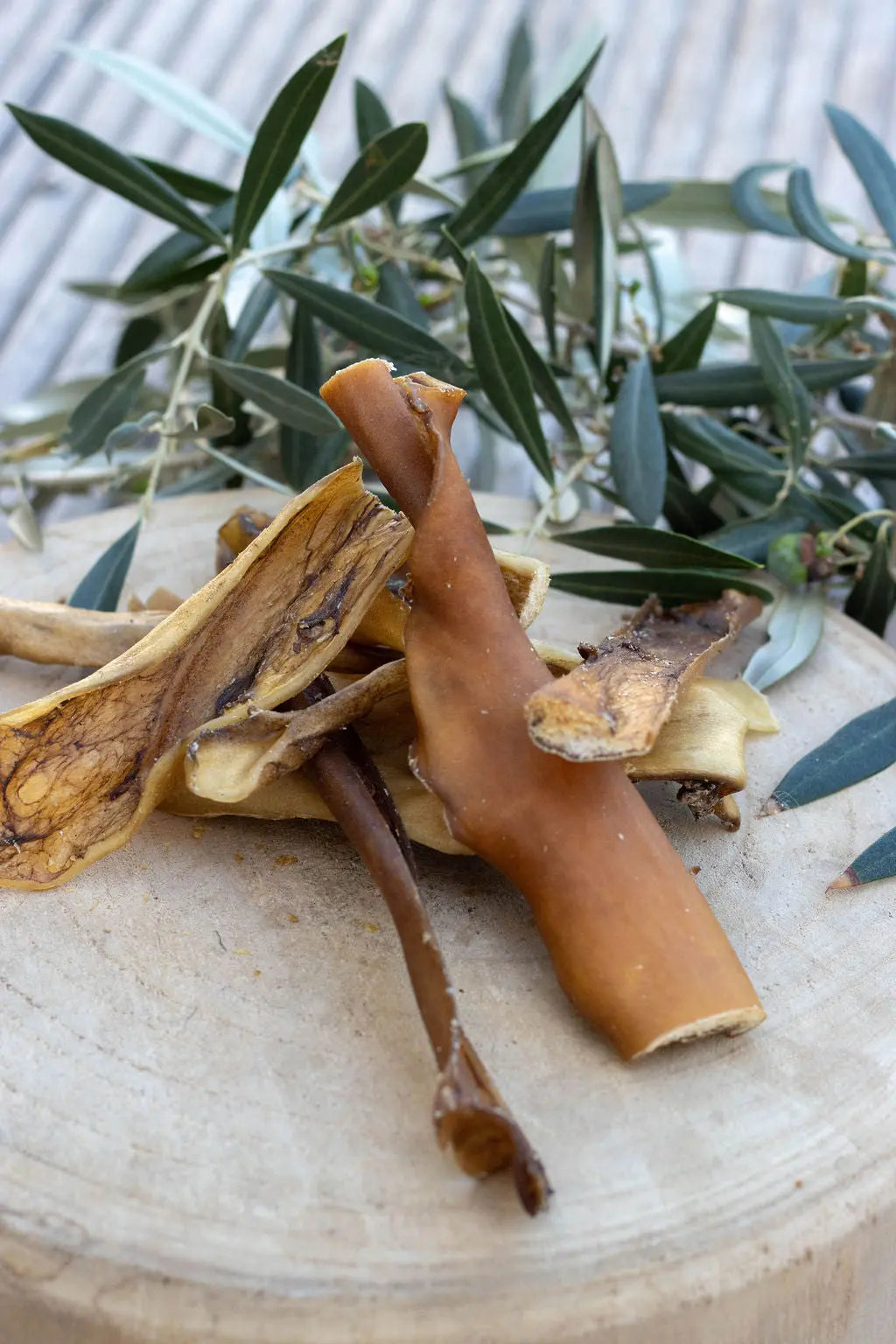 🦌 Peau de Cerf La Gamelle d'Alpha