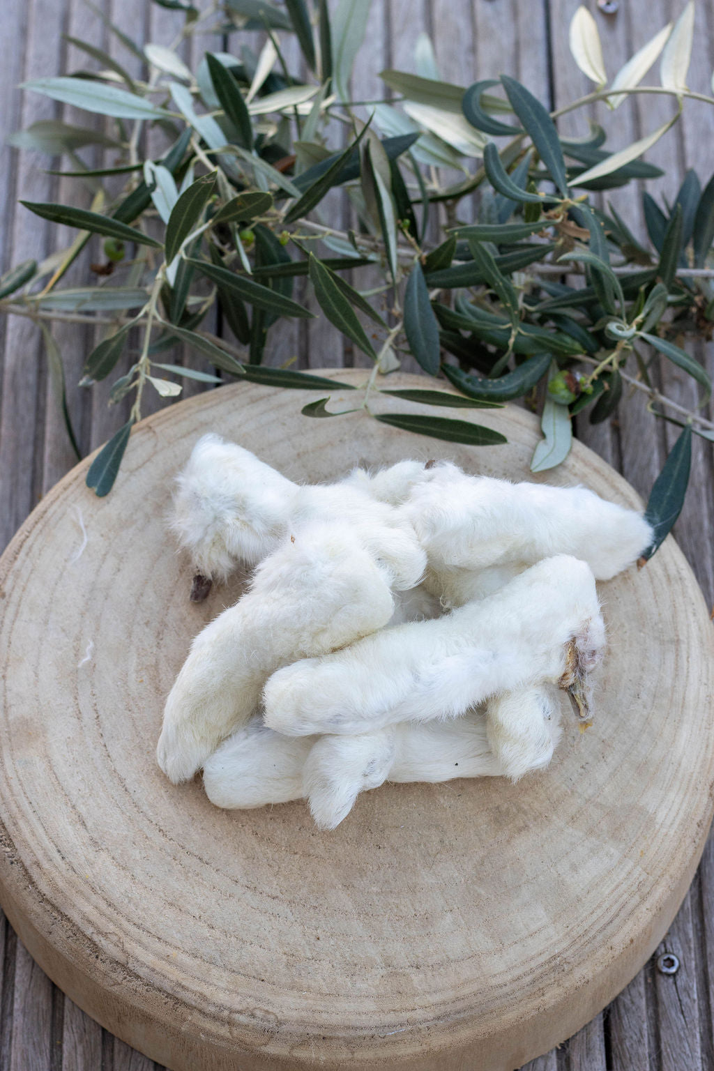 🐇 Pattes de Lapin avec Fourrure La Gamelle d'Alpha