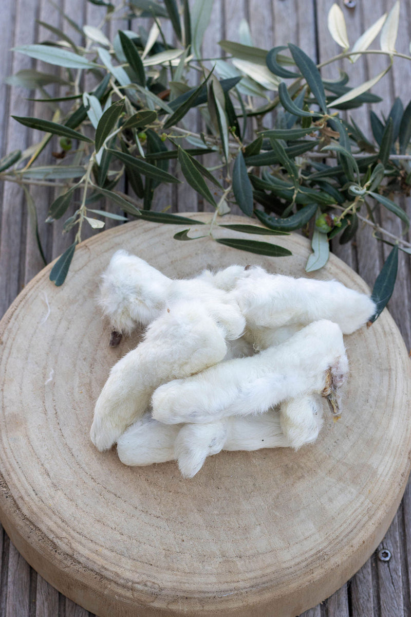 🐇 Pattes de Lapin avec Fourrure La Gamelle d'Alpha