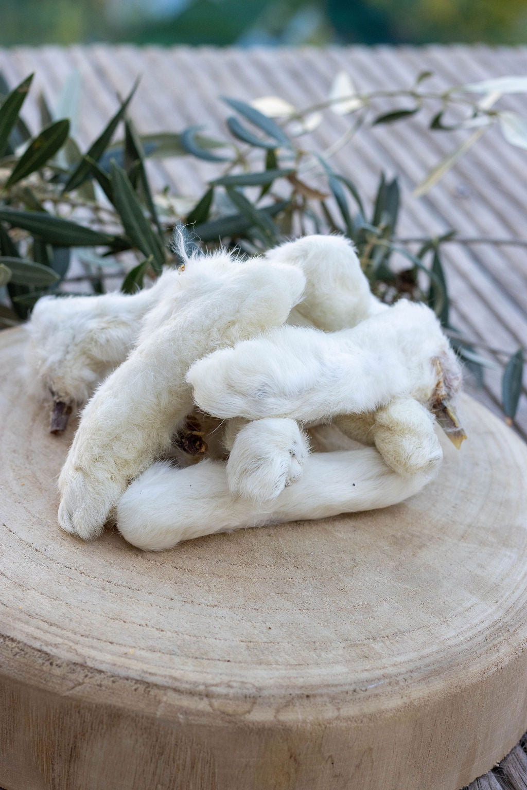 🐇 Pattes de Lapin avec Fourrure La Gamelle d'Alpha
