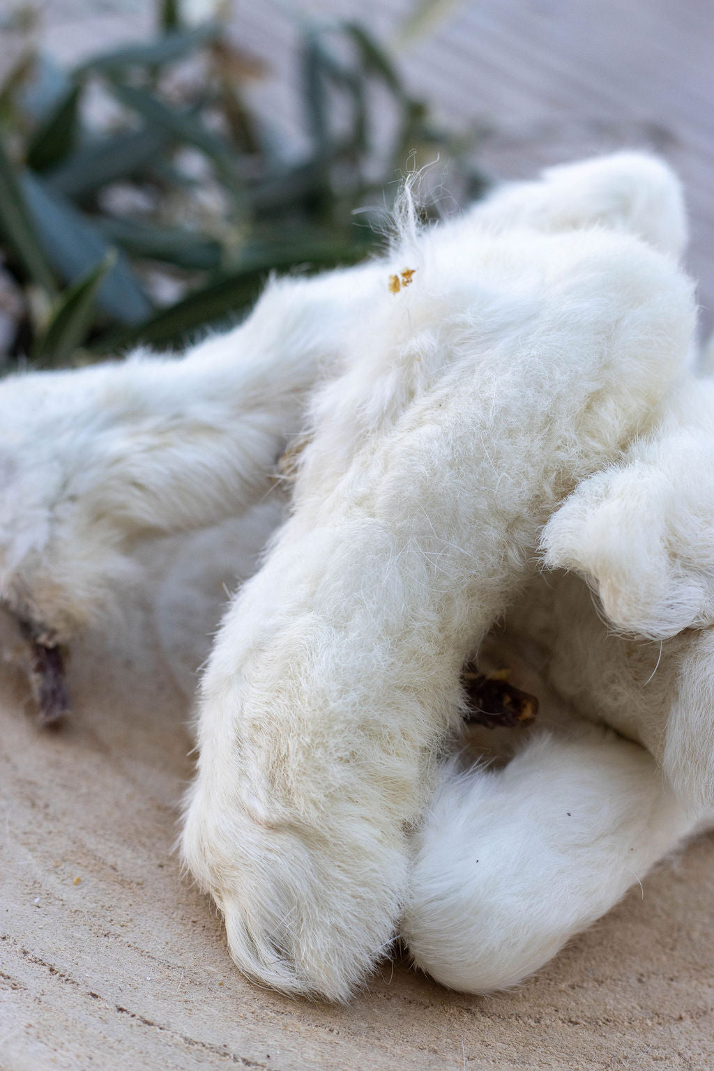 🐇 Pattes de Lapin avec Fourrure La Gamelle d'Alpha