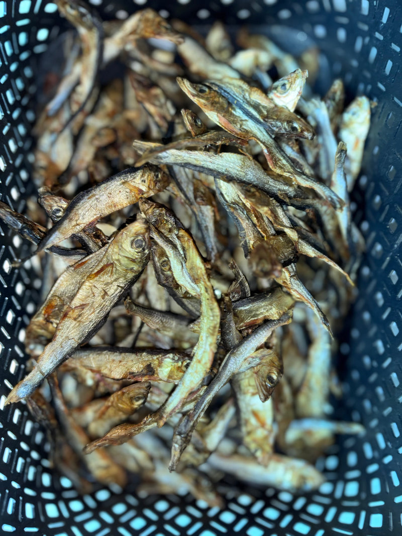 🐟 Sprats – Petits poissons La Gamelle d'Alpha