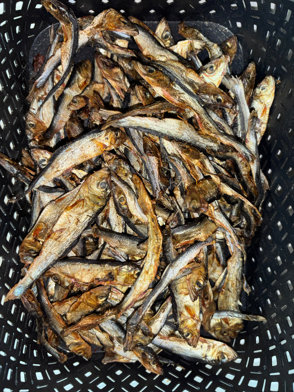 🐟 Sprats – Petits poissons La Gamelle d'Alpha