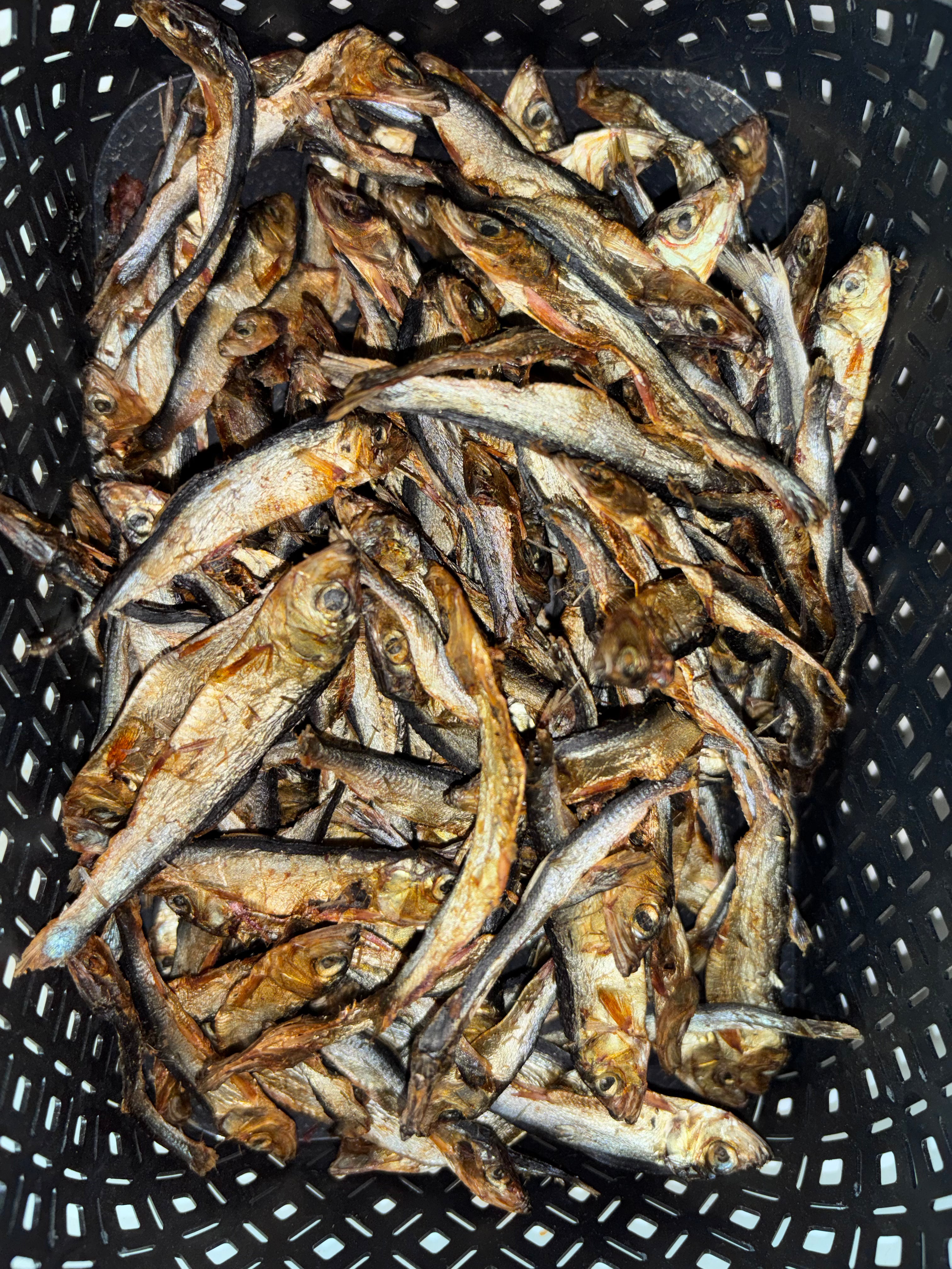 🐟 Sprats – Petits poissons La Gamelle d'Alpha