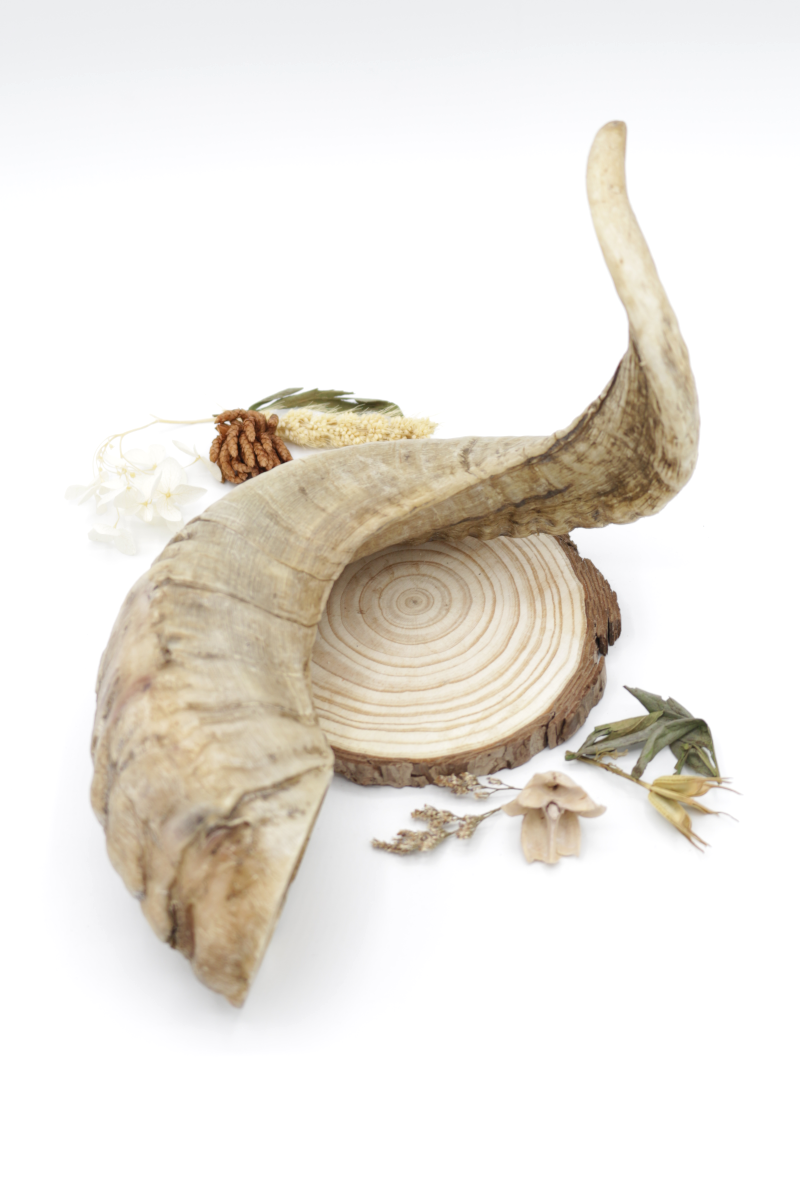 Corne de mouton La Gamelle d'Alpha