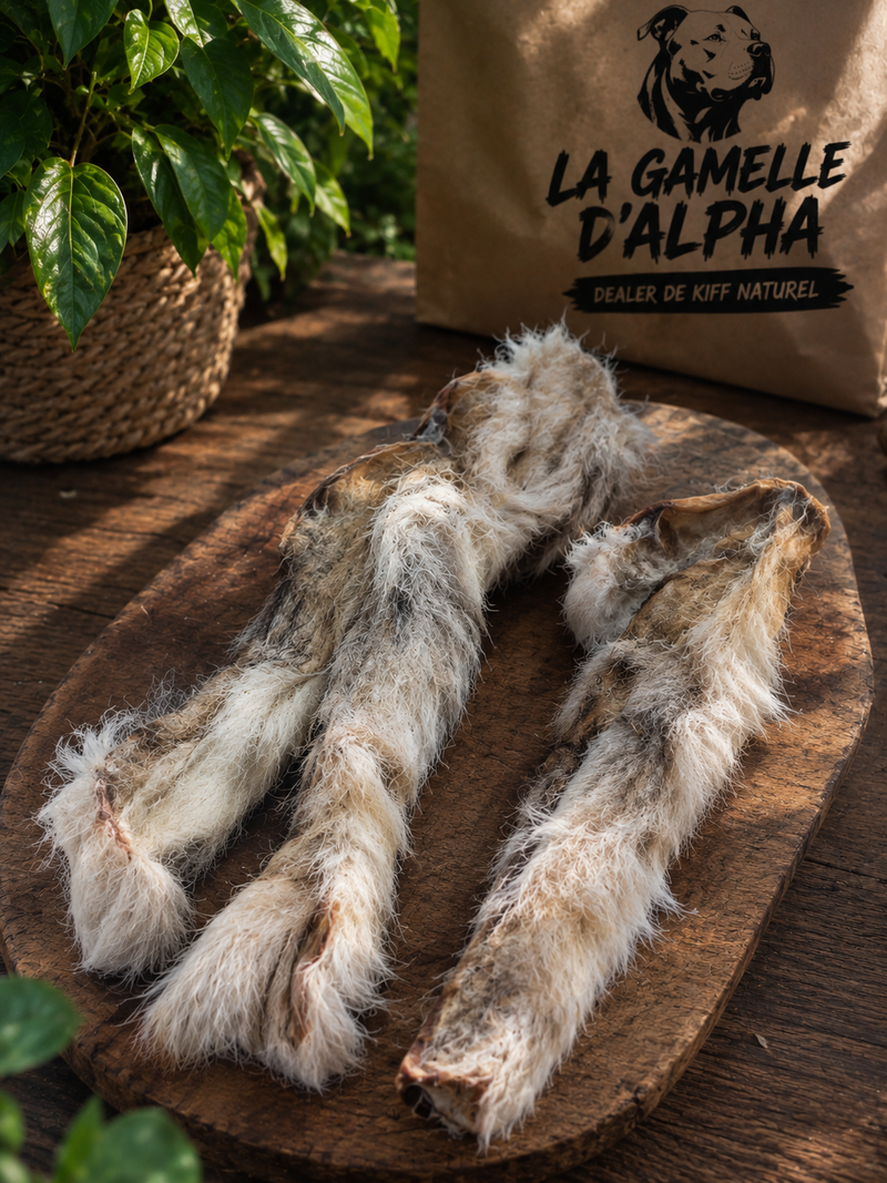 🐇 Peau de Lapin avec Fourrure 10/15cm La Gamelle d'Alpha